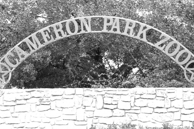 Cameron Park Zoo Region